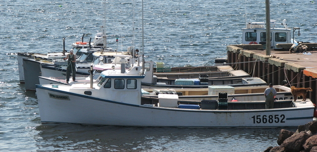 Tony Charles / Fishing boats at the wharf of the Mi'kmaq community of Lennox Island First Nation in Prince Edward Island, Canada.