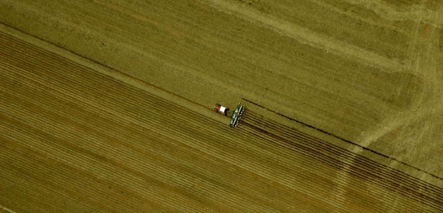 Leonardo F. Freitas via Flickr