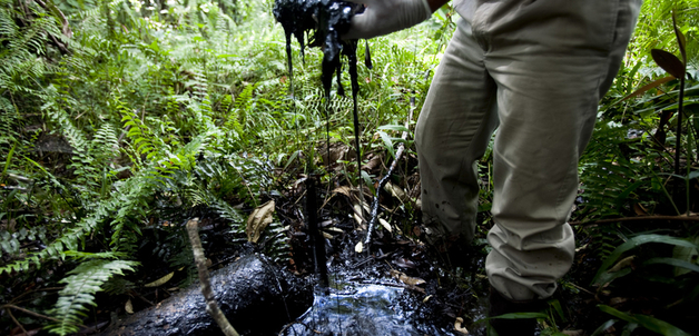 Chevron's Toxic Legacy in Ecuador's Amazon / Rainforest Action Network via Flickr