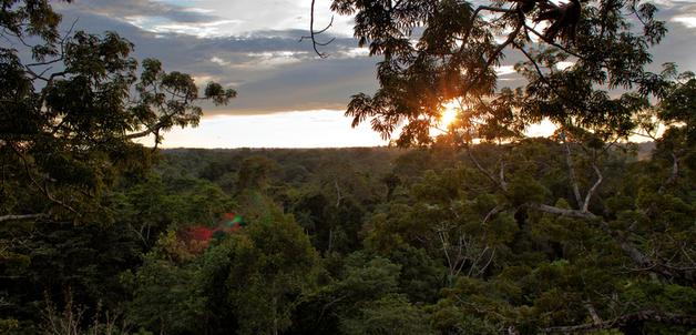 Tiputini - Yasuni / sara y tzunky via Flickr