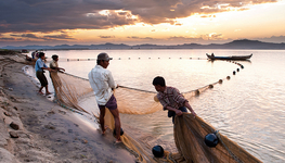 State sovereignty and the market