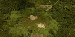 The Amazon and the battle of ideas