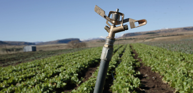 World Bank Photo Collection