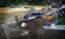 In search of a new insight