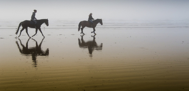 mikebaird via compfight