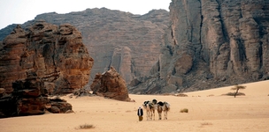 Mali in the international setting