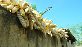 A comprehensive approach for Africa