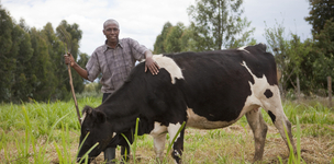 Farming as a business