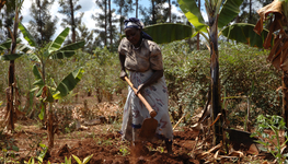 Prioritizing small-scale farming