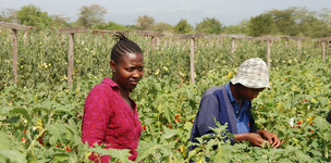 Private sector cannot ignore small-scale farmers