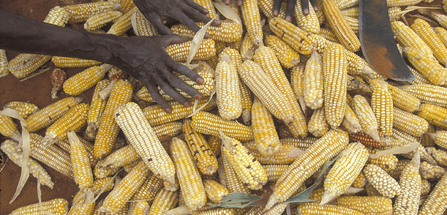 Photo credit: World Bank Photo Collection