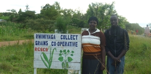 Recommendations for Dutch agribusinesses