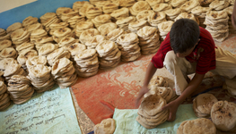 The emphasis on technical fixes is misleading