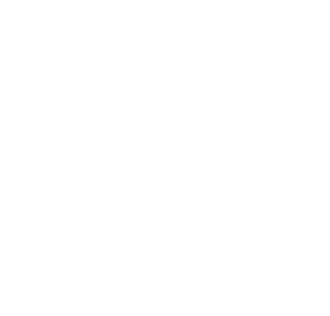 Busan High Level Forum