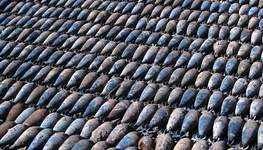 Bottom-up arms control