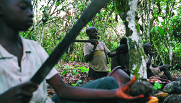 Empowering rural entrepreneurs