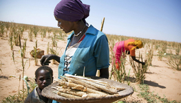 Opinion: Family farming first