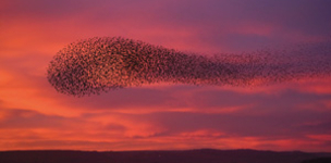 Special report: Collective self-interest