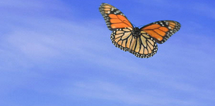 Contributors to The Broker’s blog ‘Future Calling’