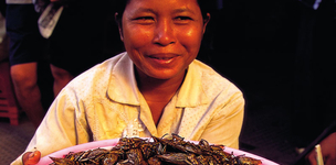 Negotiating the future of food and farming