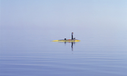 Taking the long view