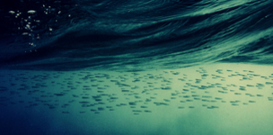 Comment to 'United in harmony': Relationships matter