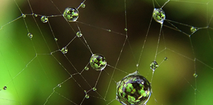 Special report: Greening the global economy