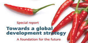 Towards a global development strategy