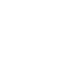 Global Development Strategies