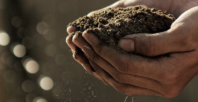 embrace-the-earth-banner